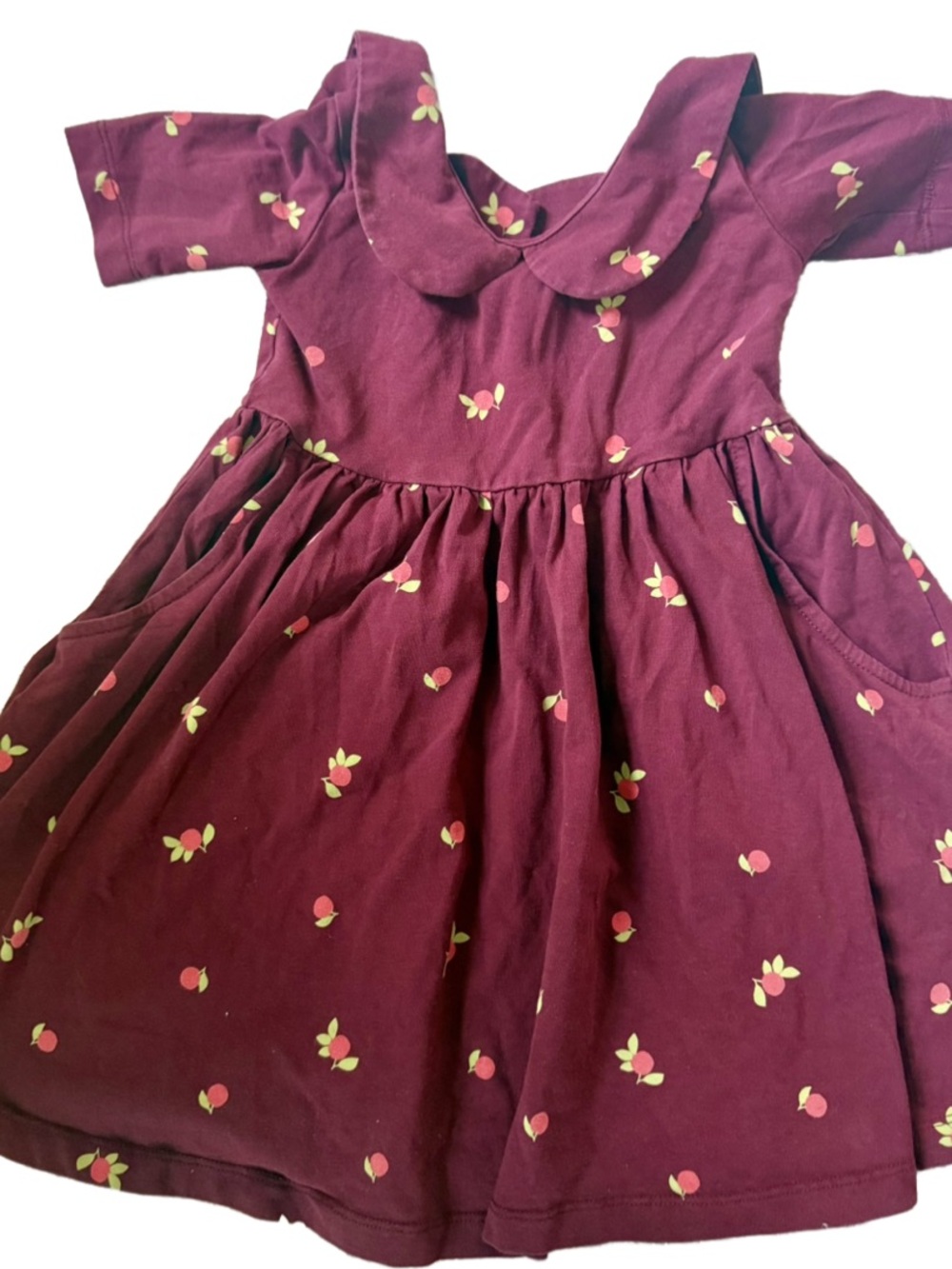 Hanna Andersson Floral Peter Pan Collar Casual Dress